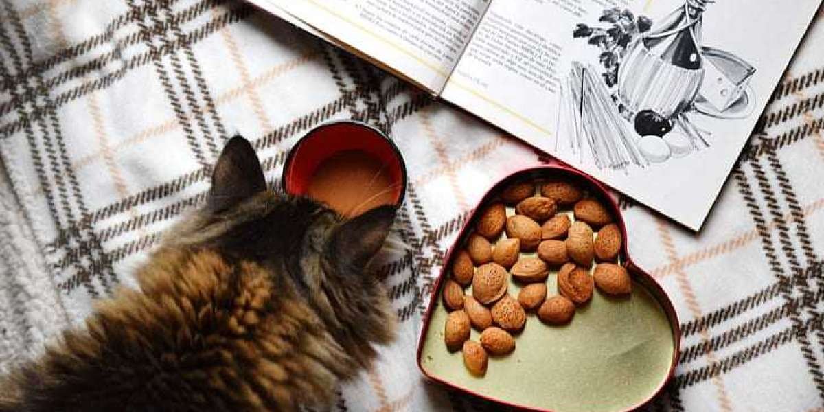 The Convenience of Cat Food Suppliers Online: How to Get Quality Cat Food Delivered to Your Doorstep