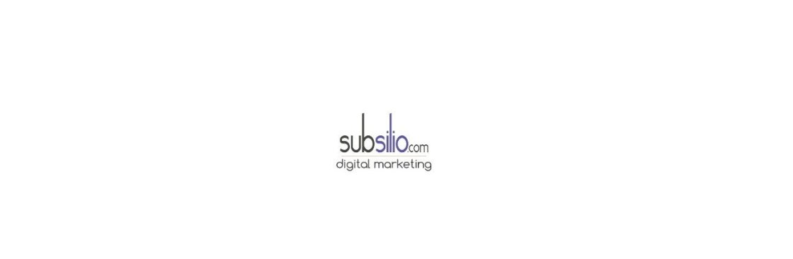 Subsilio Consulting LLC Cover Image