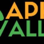 APK Valley Profile Picture