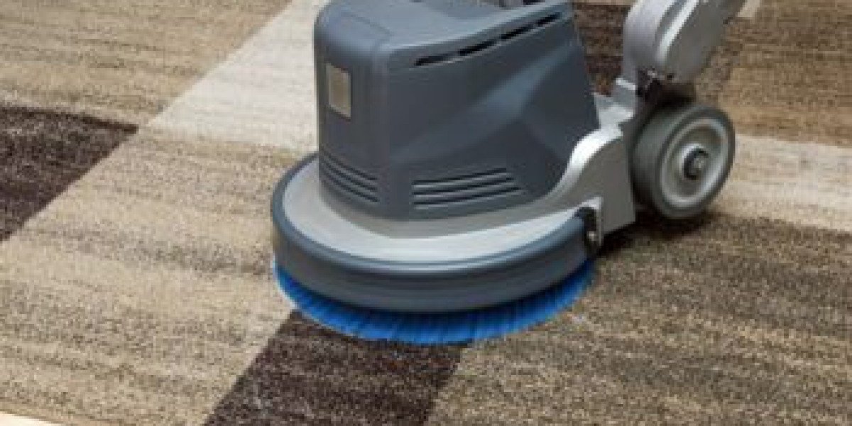 Why Carpet Cleaning Should Be a Priority for a Comfortable Home