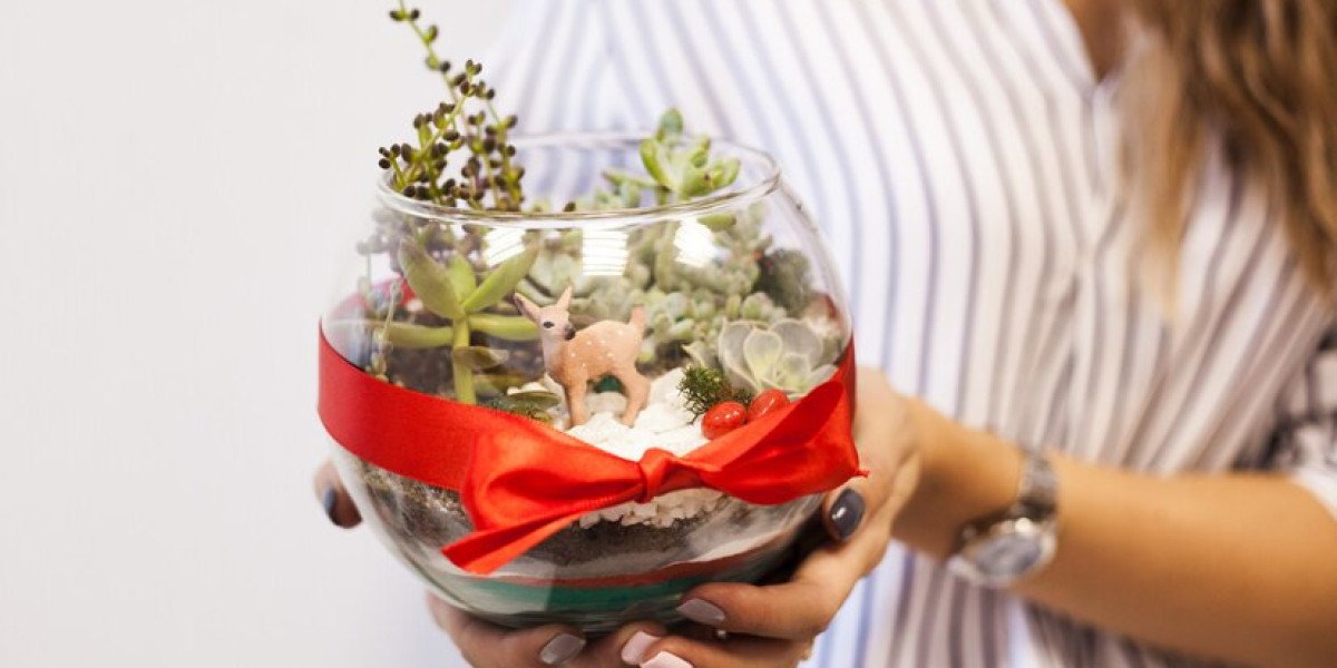 Top Imaginative Plant Gifts Ideas to Relish Your Girlfriend on Her Birthday