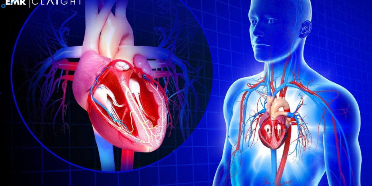 Global Cardiovascular Information System Market Share, Size, Growth, Analysis, & Future Outlook | 2024 - 2032