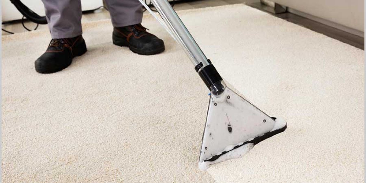 Why Your Home Deserves Professional Carpet Cleaning for a Fresh Look