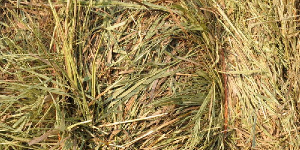 Brome Grass Hay for Sale – Quality You Can Trust