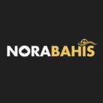 norabahis mobil norabahis indir Profile Picture