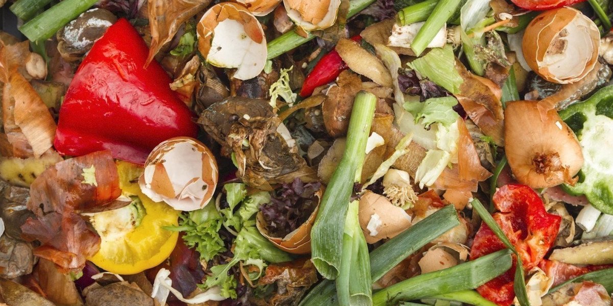 Food Waste Management: Strategies to Reduce the Impact of Food Waste