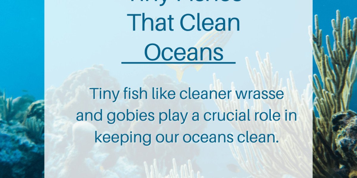 Tiny Fishes That Clean Oceans 