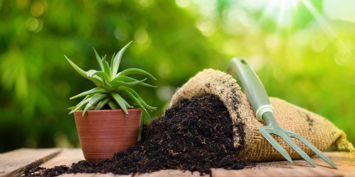 Organic Fertilizer Manufacturing Plant Report 2025: Industry Trends, Investment Opportunities, Cost and Revenue
