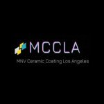 Mnv car detailing Profile Picture