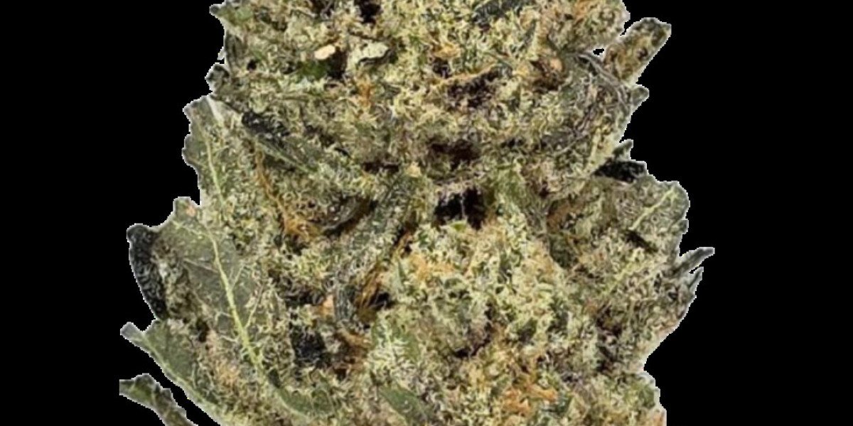 Indulge in the Tropical Bliss of the Mango Sherbert Strain
