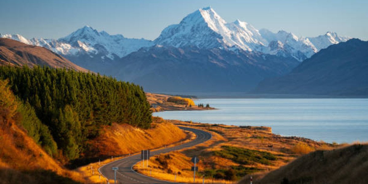 6 Epic Road Trips to Explore the Beauty of New Zealand